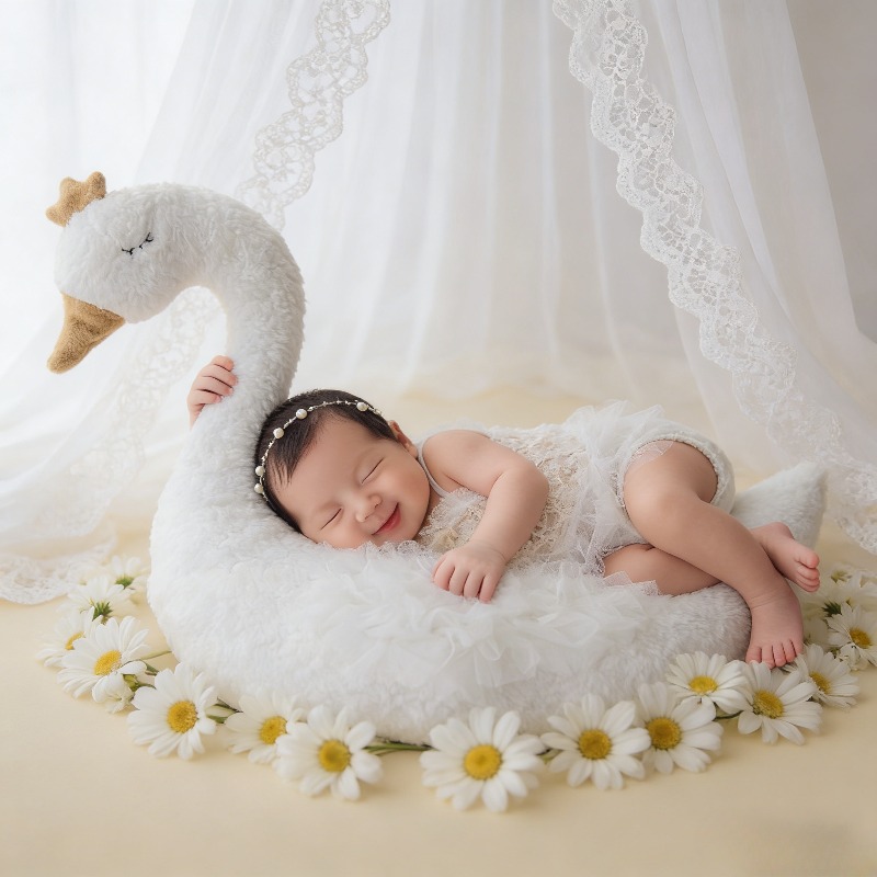Newborn Photography Prop Swan  - Baby Nursery Set ulasan dan harga
