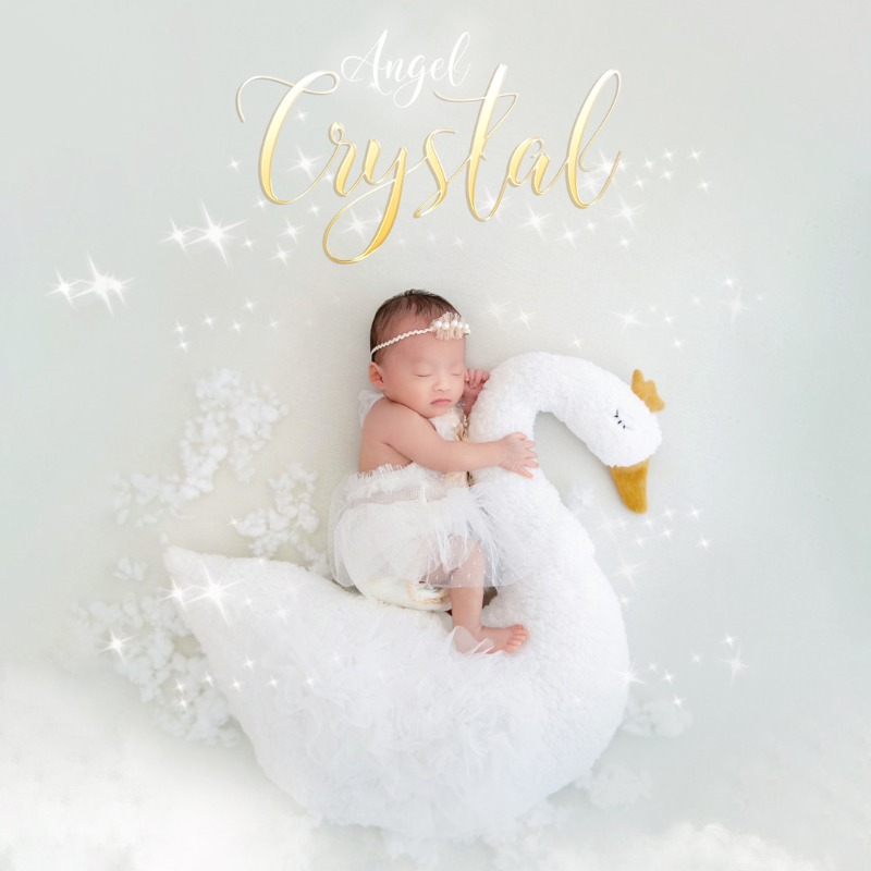 Newborn Photography Prop Swan  - Baby Nursery Set ulasan dan harga