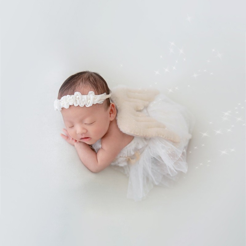 Newborn Photography Prop Swan  - Baby Nursery Set ulasan dan harga